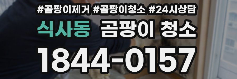 식사동 곰팡이 청소