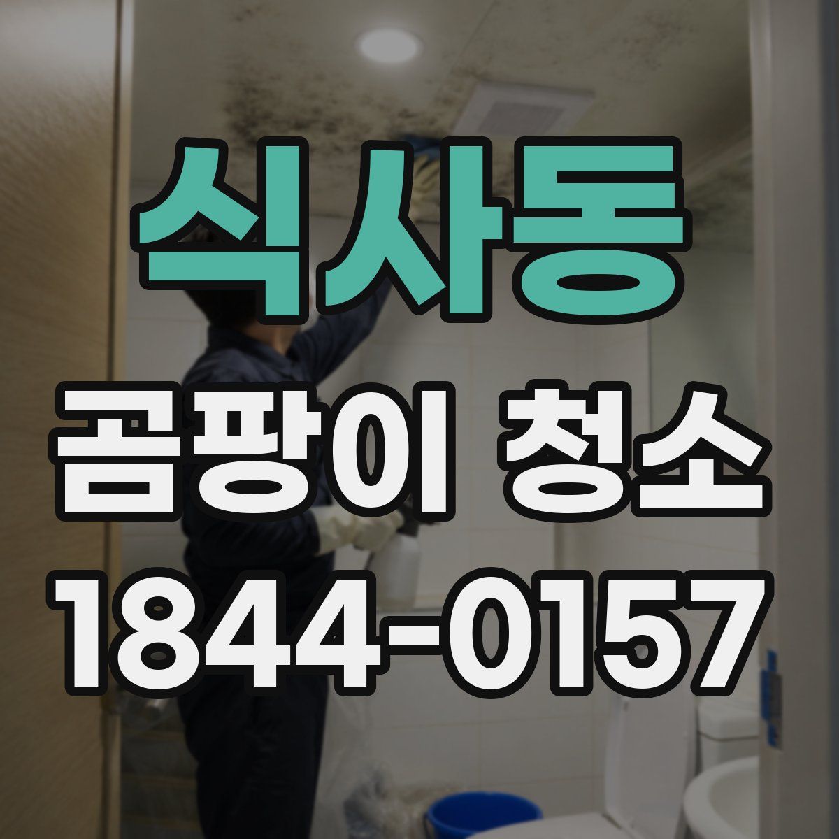 식사동 곰팡이 청소