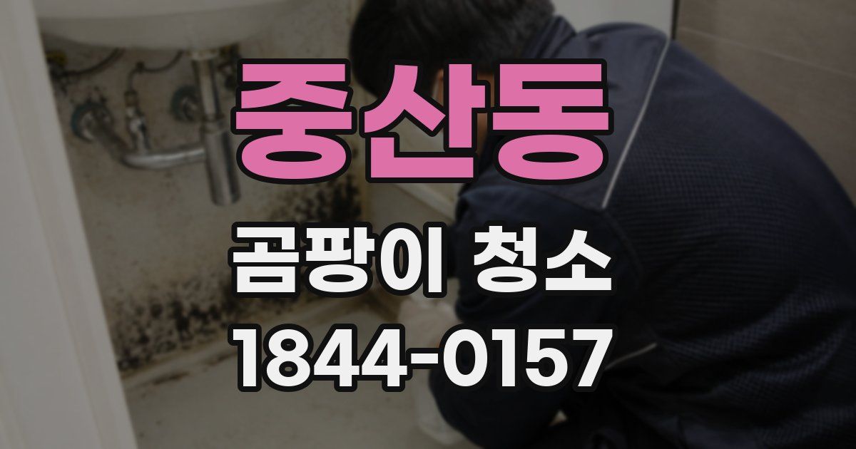 중산동 곰팡이 청소