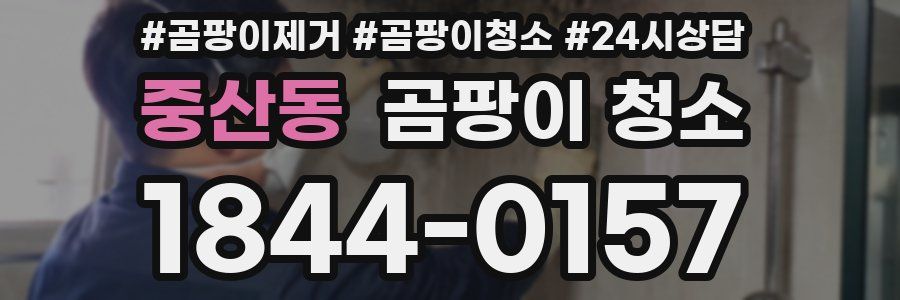 중산동 곰팡이 청소