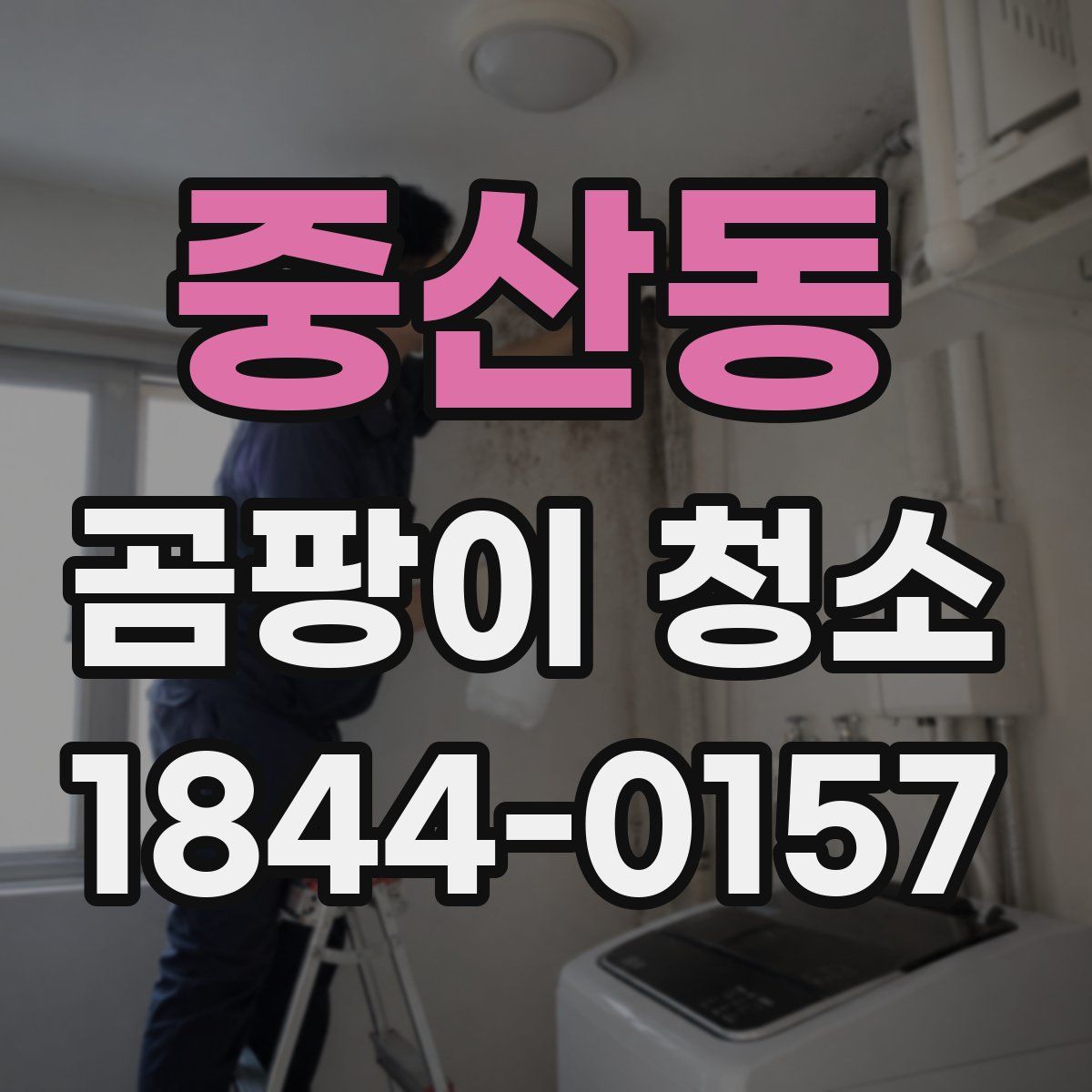 중산동 곰팡이 청소