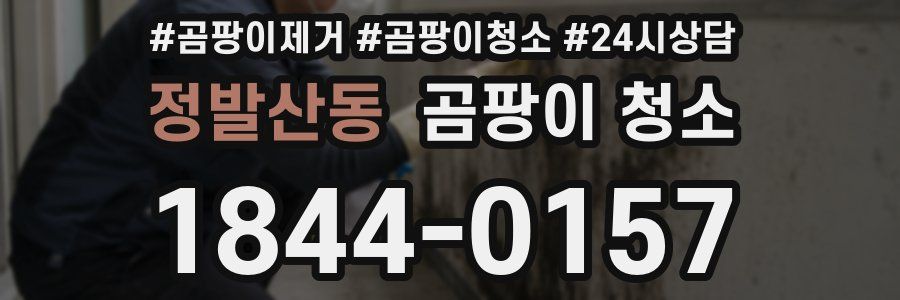 정발산동 곰팡이 청소