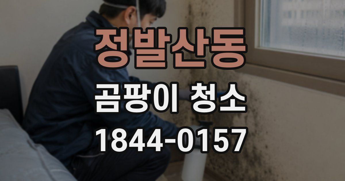 정발산동 곰팡이 청소