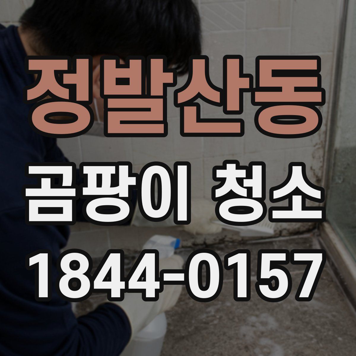 정발산동 곰팡이 청소
