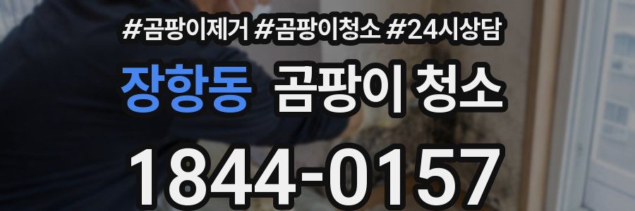 장항동 곰팡이 청소