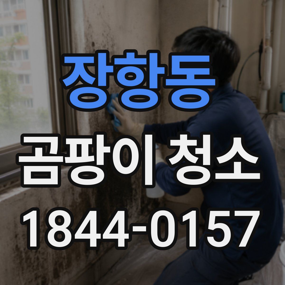 장항동 곰팡이 청소