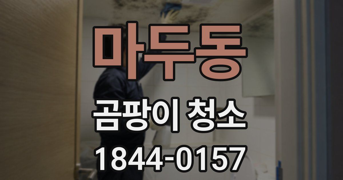 마두동 곰팡이 청소