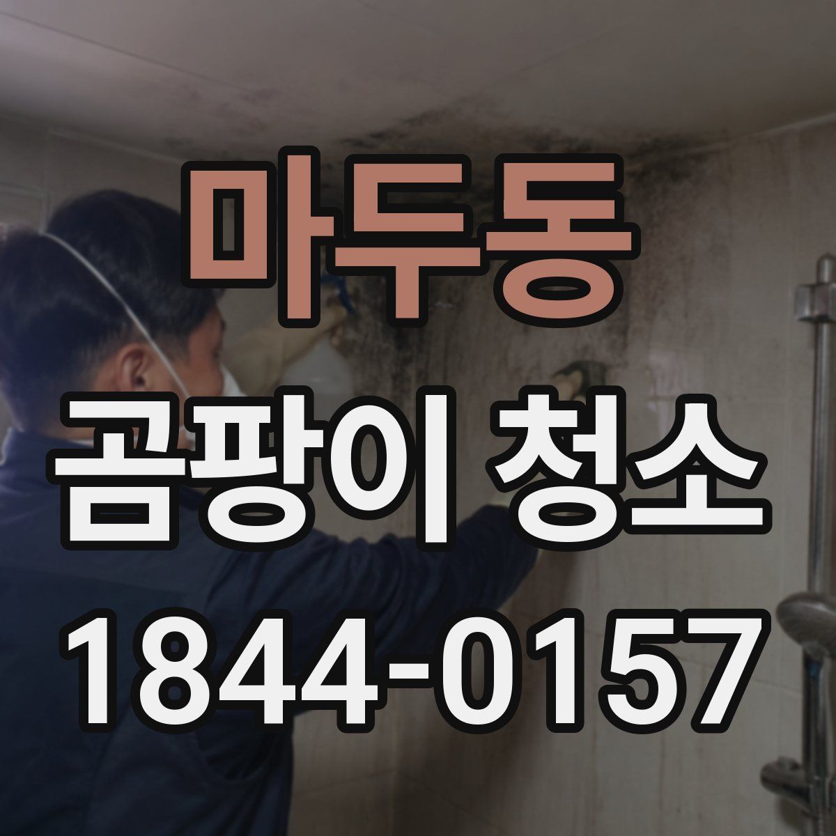 마두동 곰팡이 청소