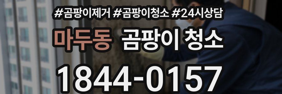 마두동 곰팡이 청소