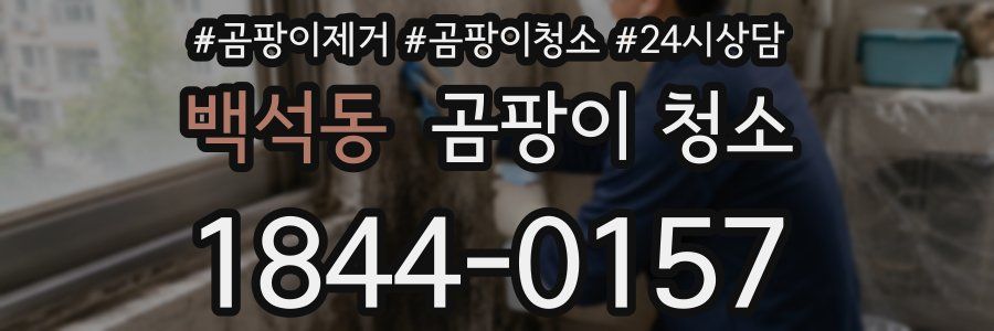 백석동 곰팡이 청소