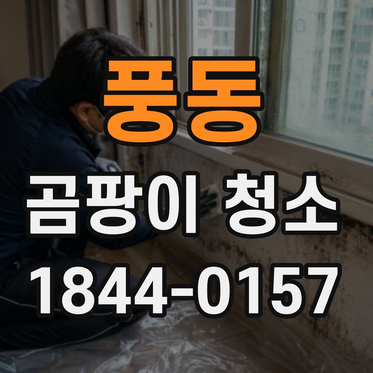 풍동 곰팡이 청소