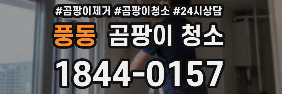 풍동 곰팡이 청소