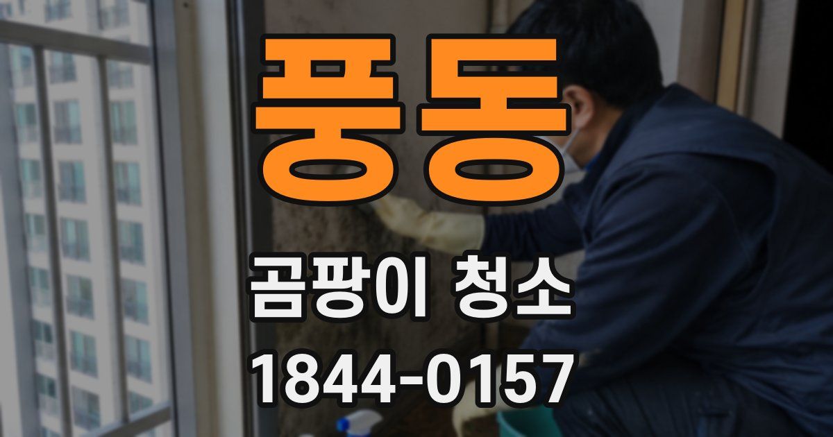 풍동 곰팡이 청소