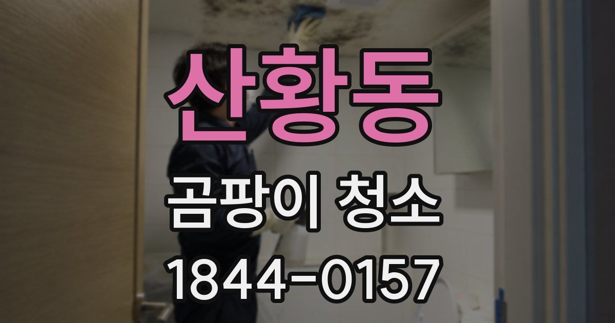 산황동 곰팡이 청소
