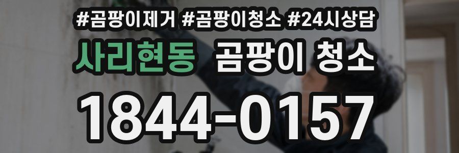 사리현동 곰팡이 청소