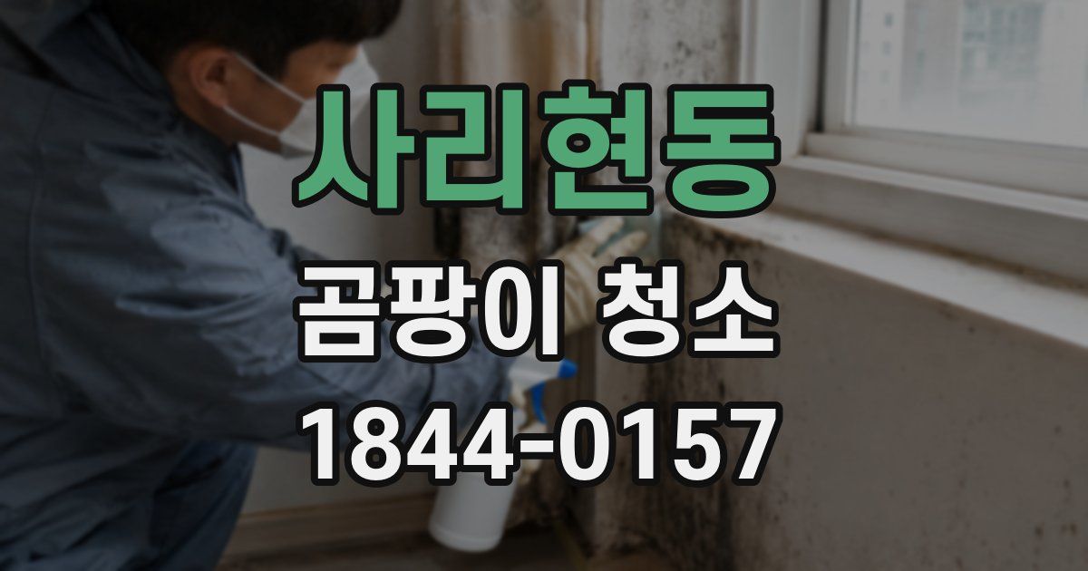 사리현동 곰팡이 청소