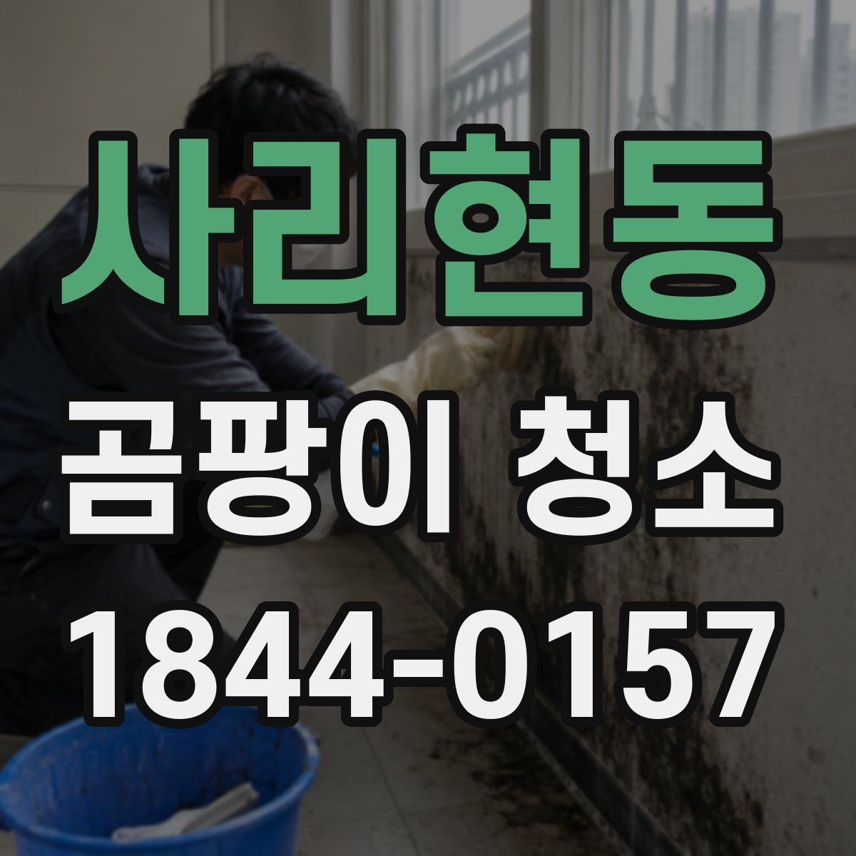 사리현동 곰팡이 청소