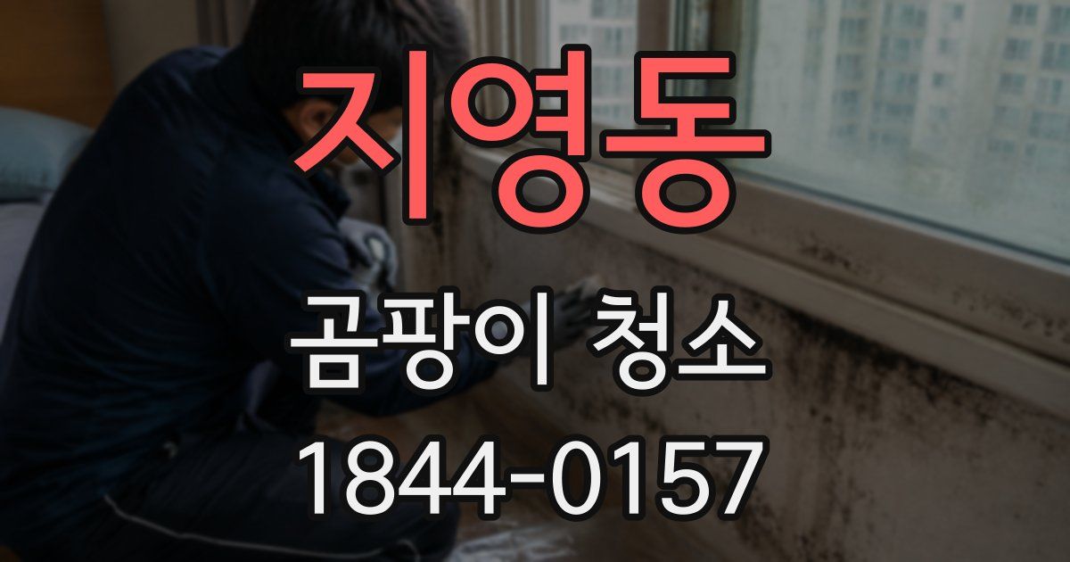 지영동 곰팡이 청소