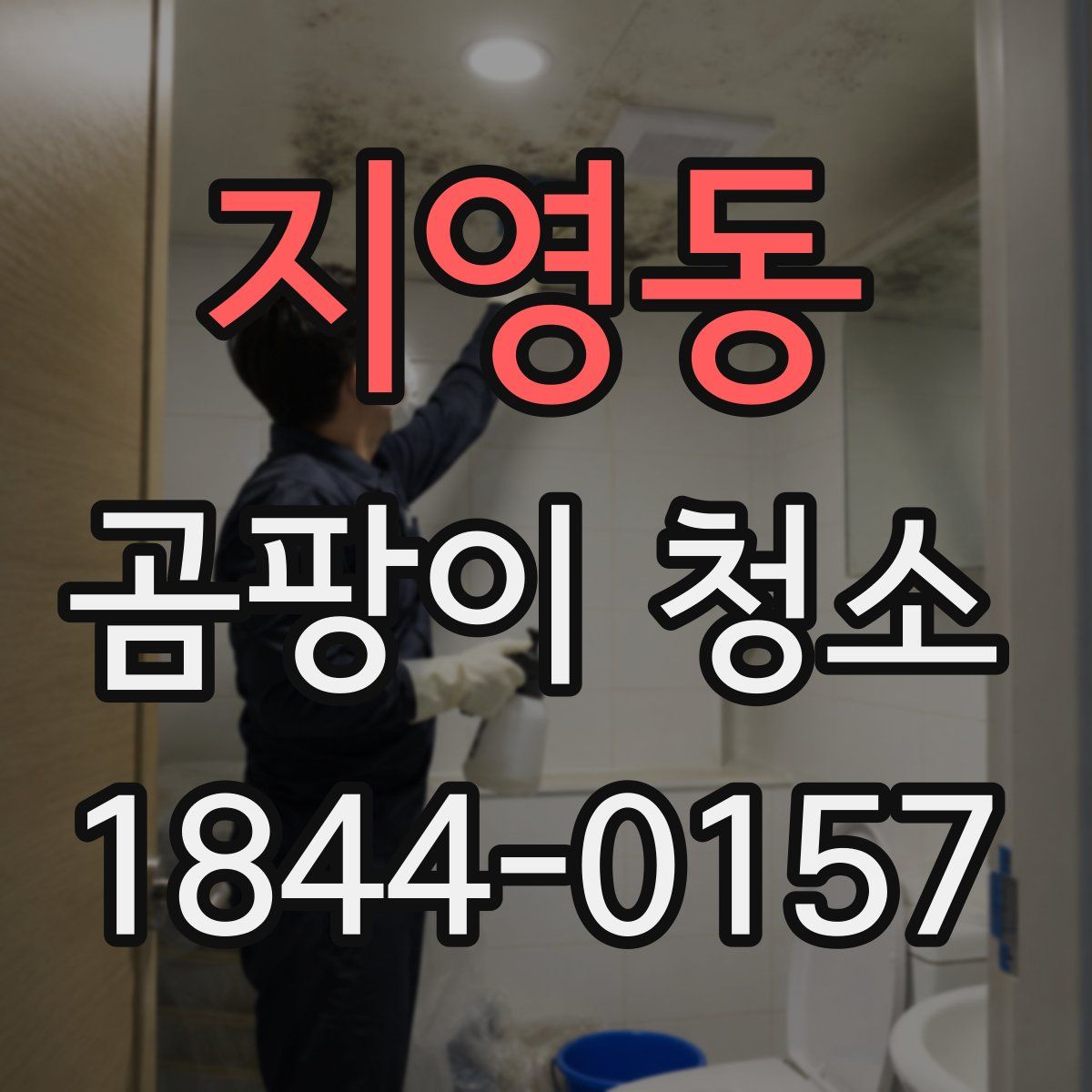 지영동 곰팡이 청소