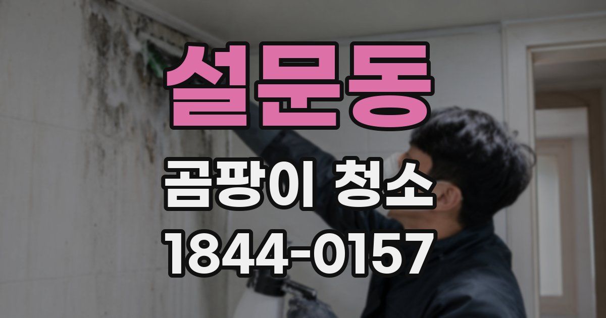 설문동 곰팡이 청소