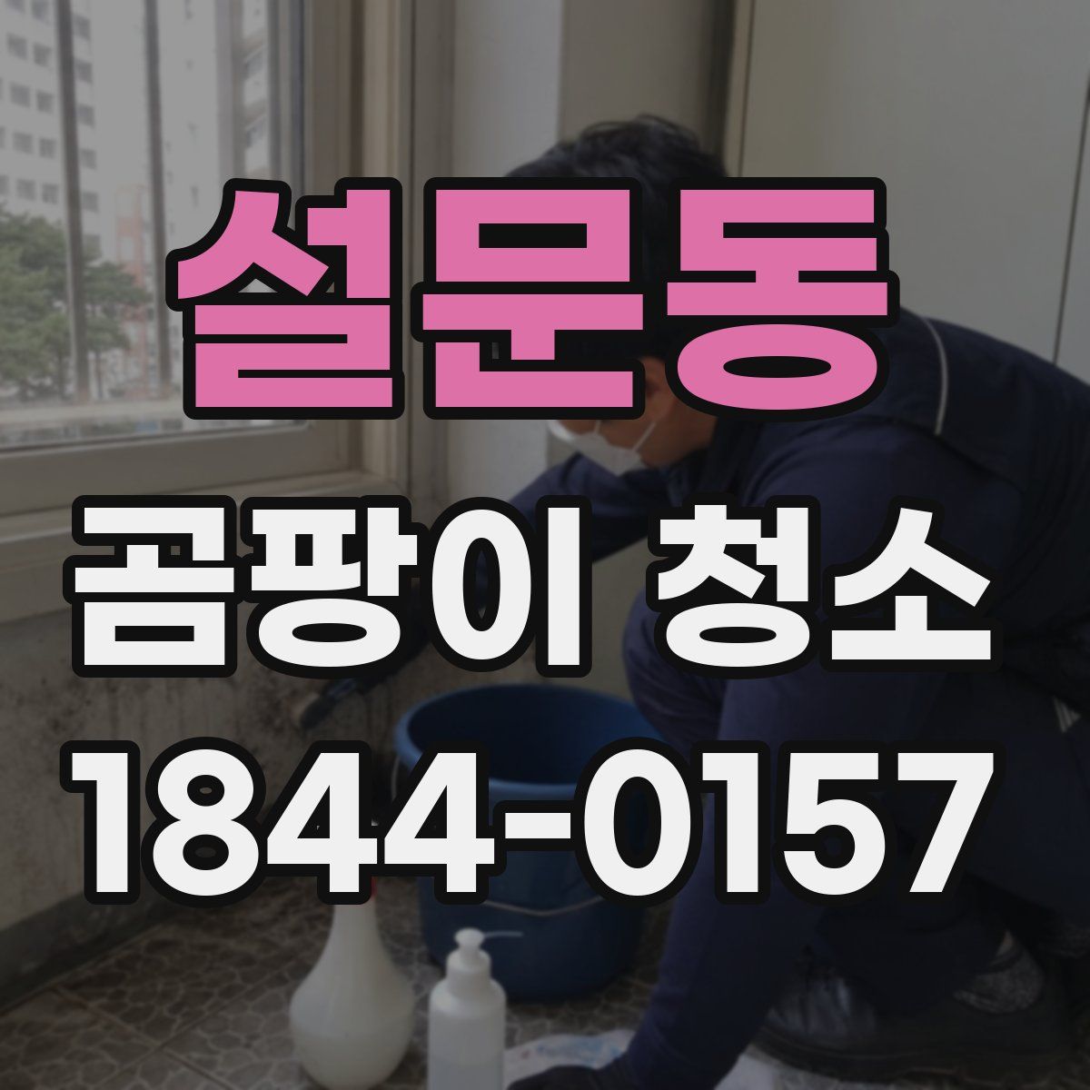설문동 곰팡이 청소