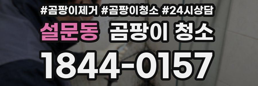 설문동 곰팡이 청소