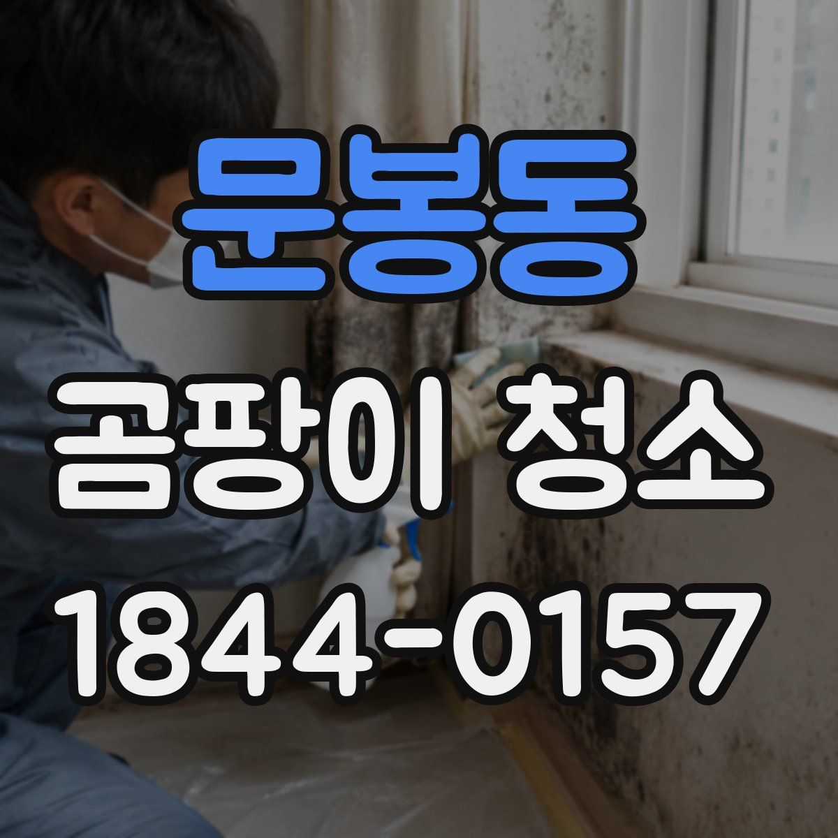 문봉동 곰팡이 청소