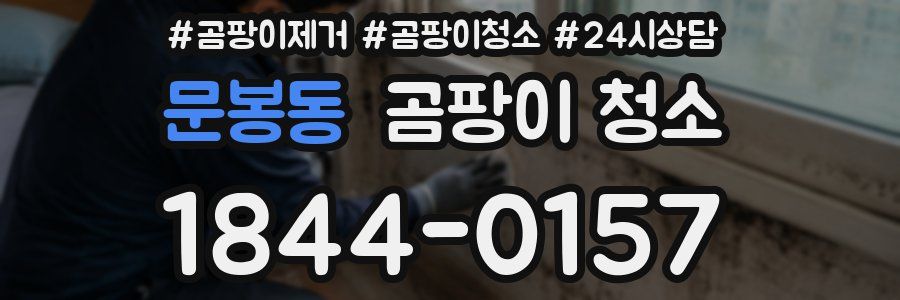 문봉동 곰팡이 청소