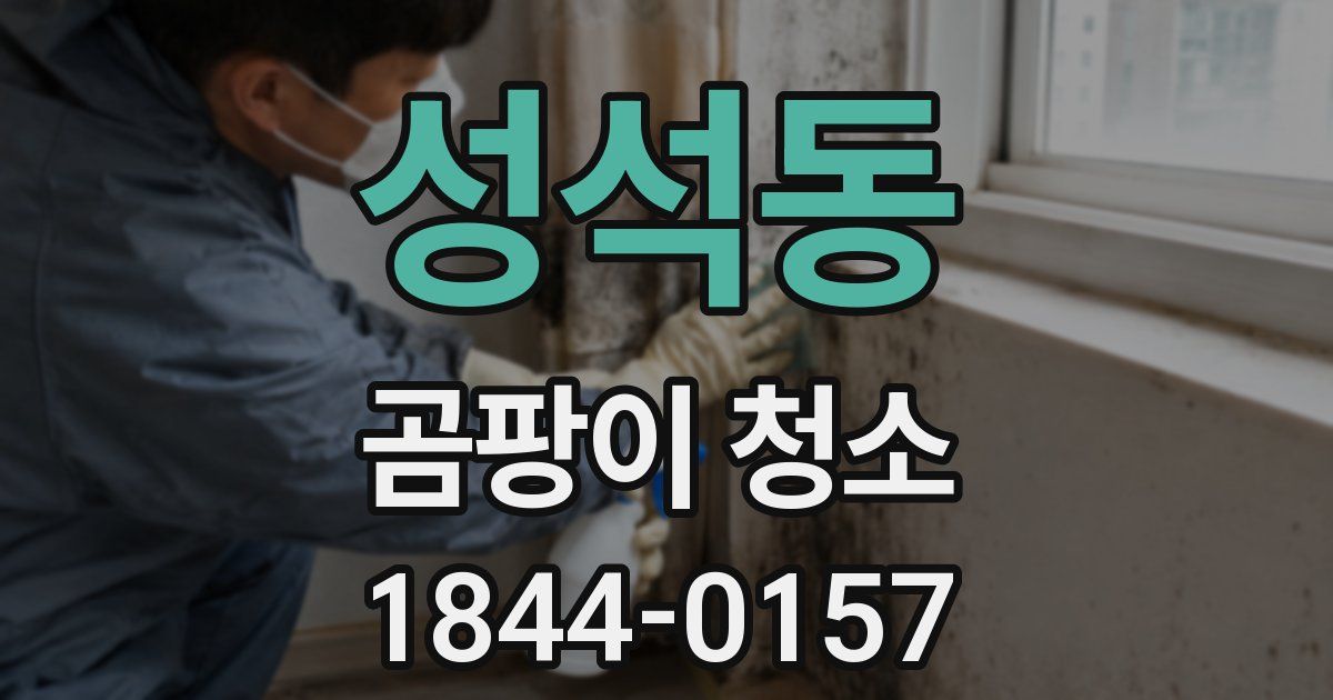 성석동 곰팡이 청소