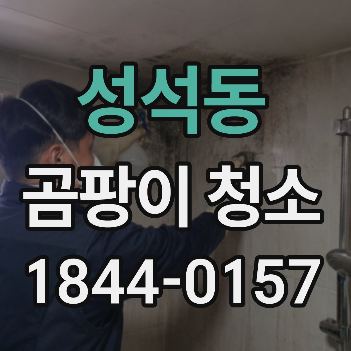 성석동 곰팡이 청소