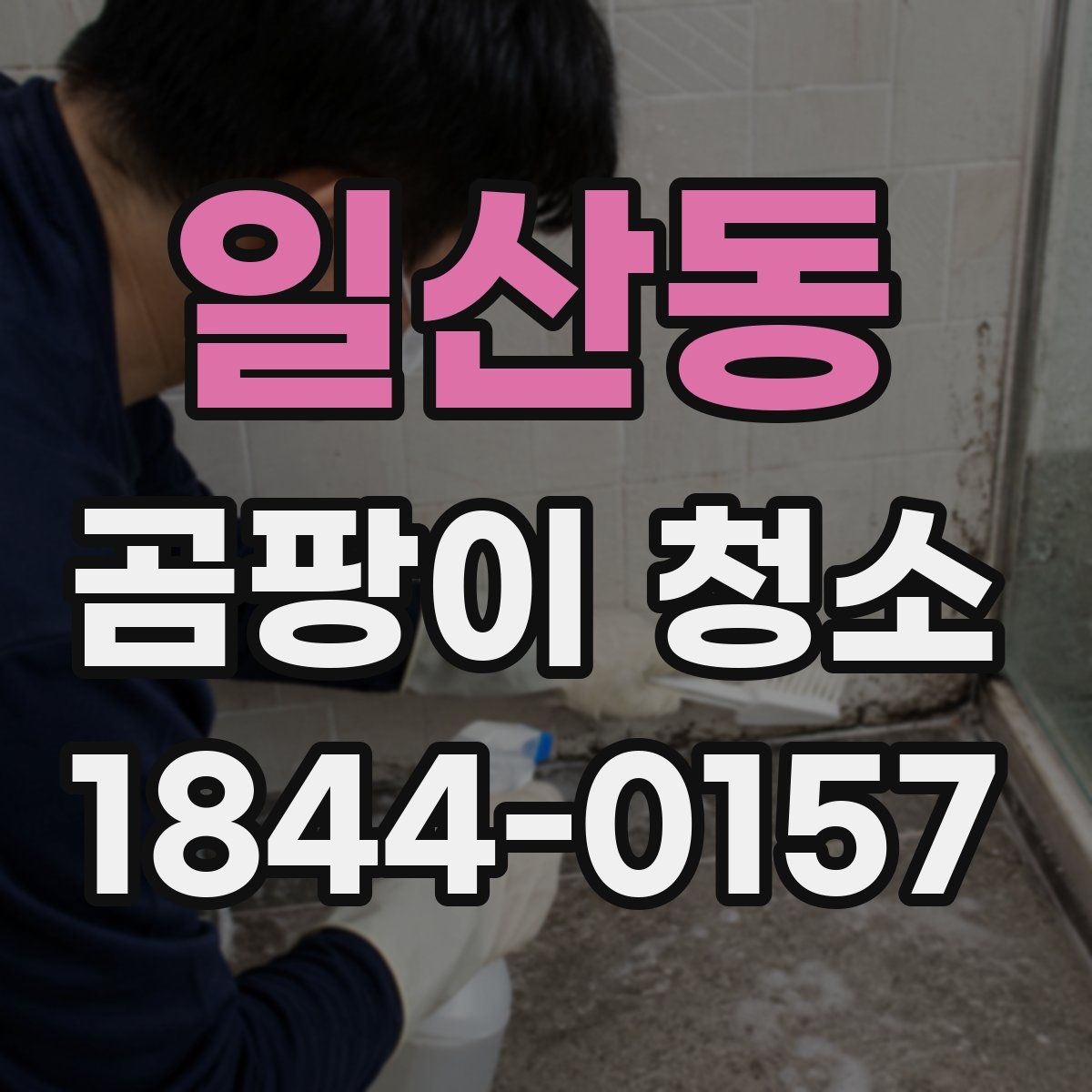일산동 곰팡이 청소