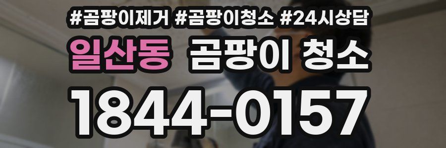 일산동 곰팡이 청소