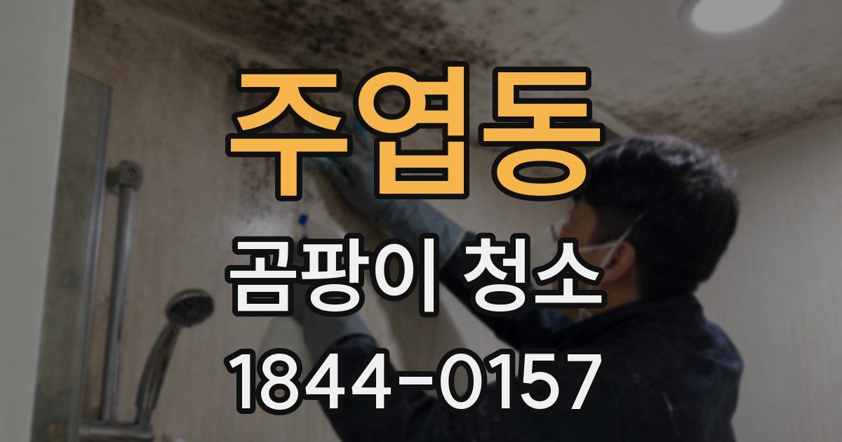 주엽동 곰팡이 청소