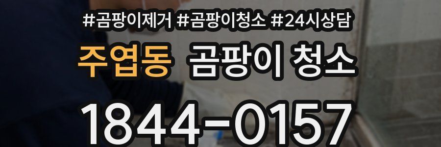주엽동 곰팡이 청소