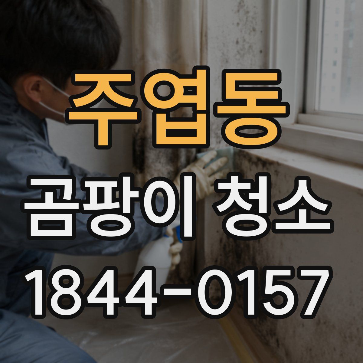 주엽동 곰팡이 청소
