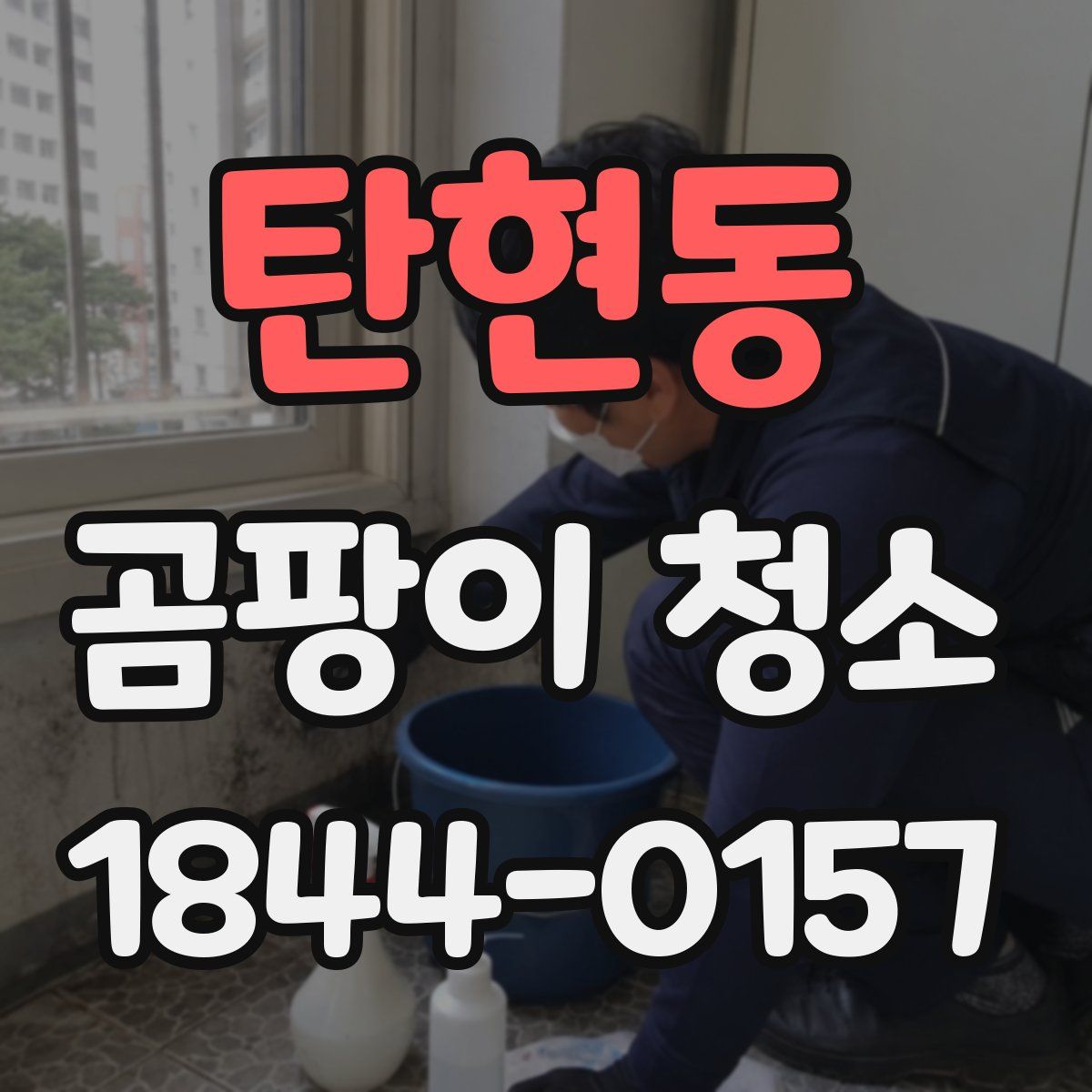 탄현동 곰팡이 청소