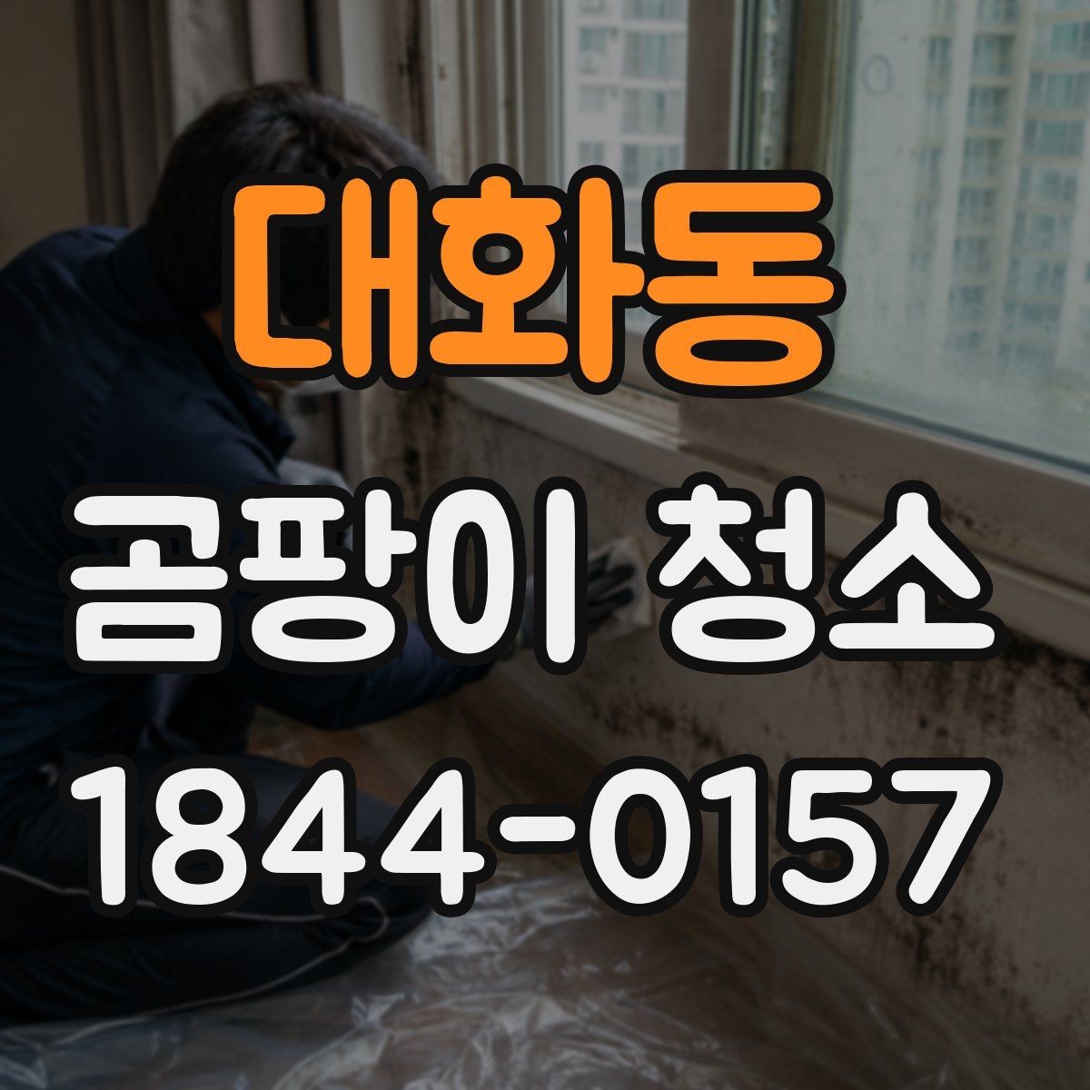 대화동 곰팡이 청소 번진 범위 먼저 확인하는 현장 점검