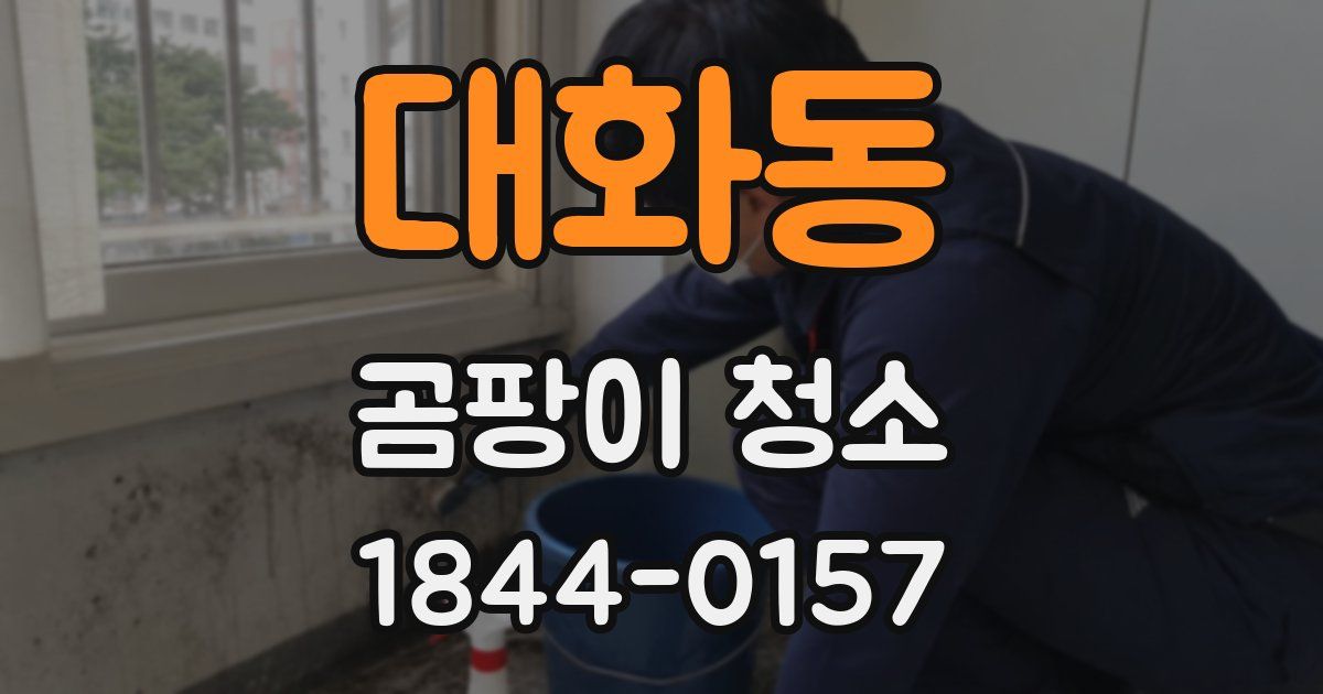 대화동 곰팡이 청소