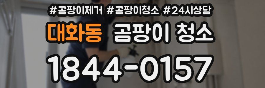 대화동 곰팡이 청소