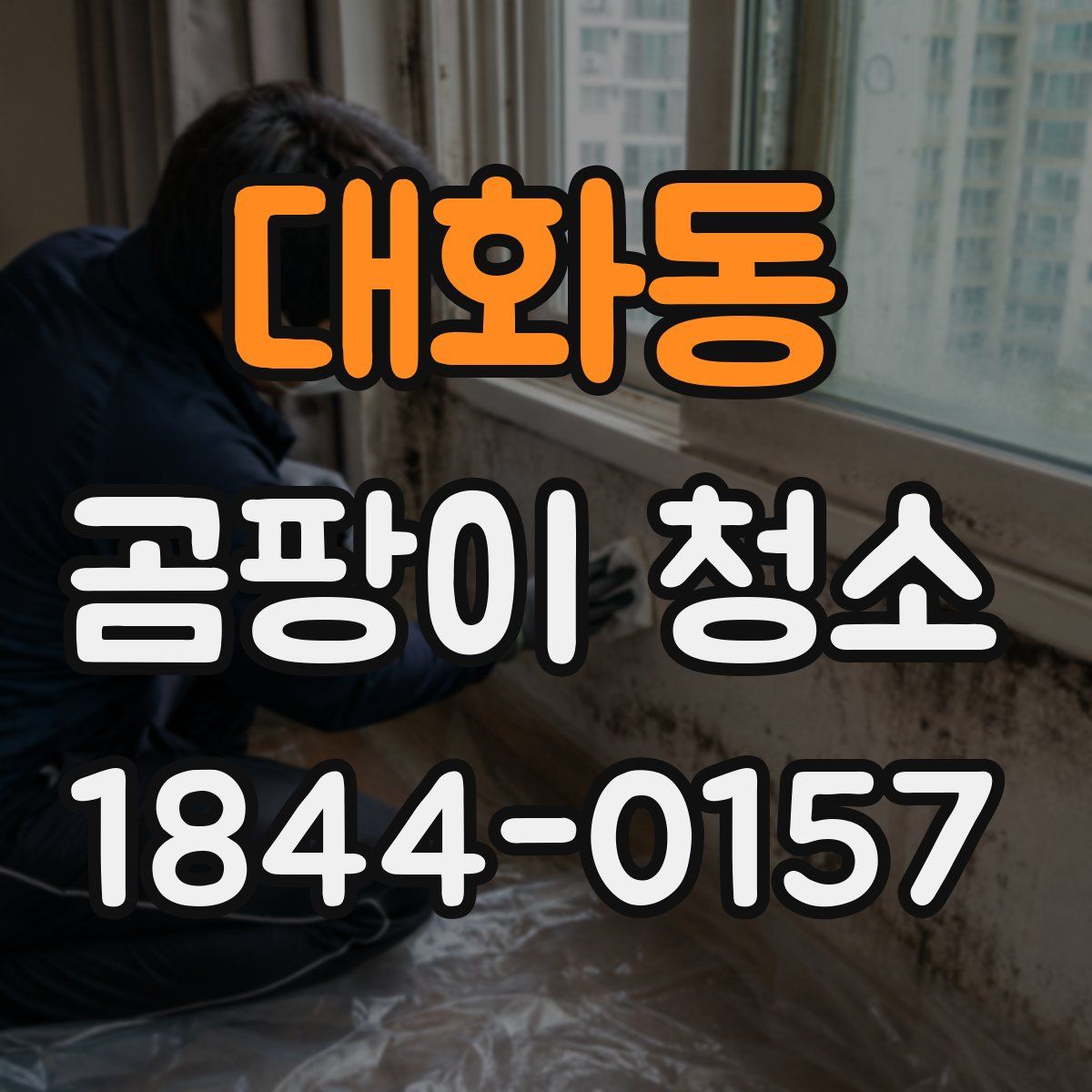 대화동 곰팡이 청소