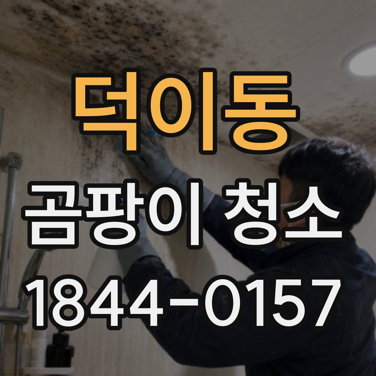 덕이동 곰팡이 청소