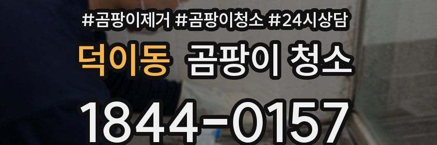 덕이동 곰팡이 청소