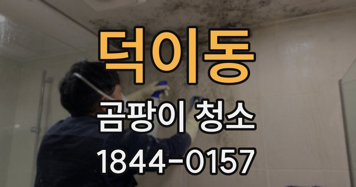 덕이동 곰팡이 청소
