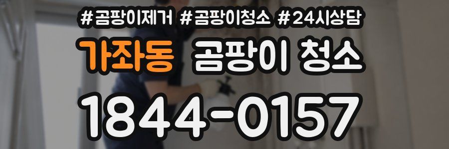 가좌동 곰팡이 청소