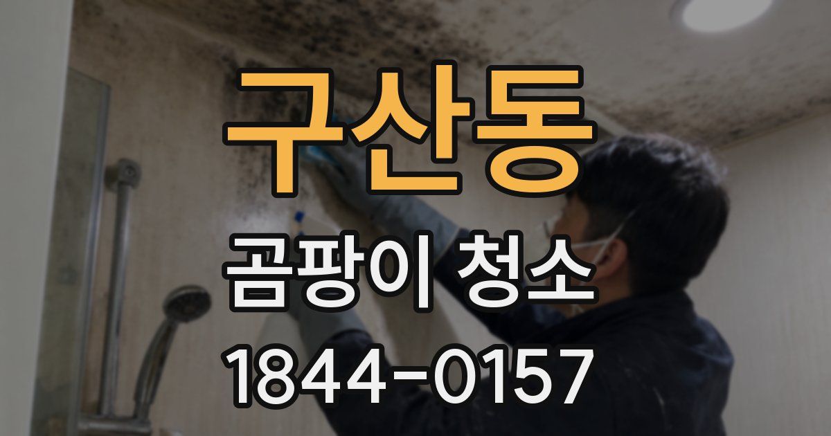 구산동 곰팡이 청소