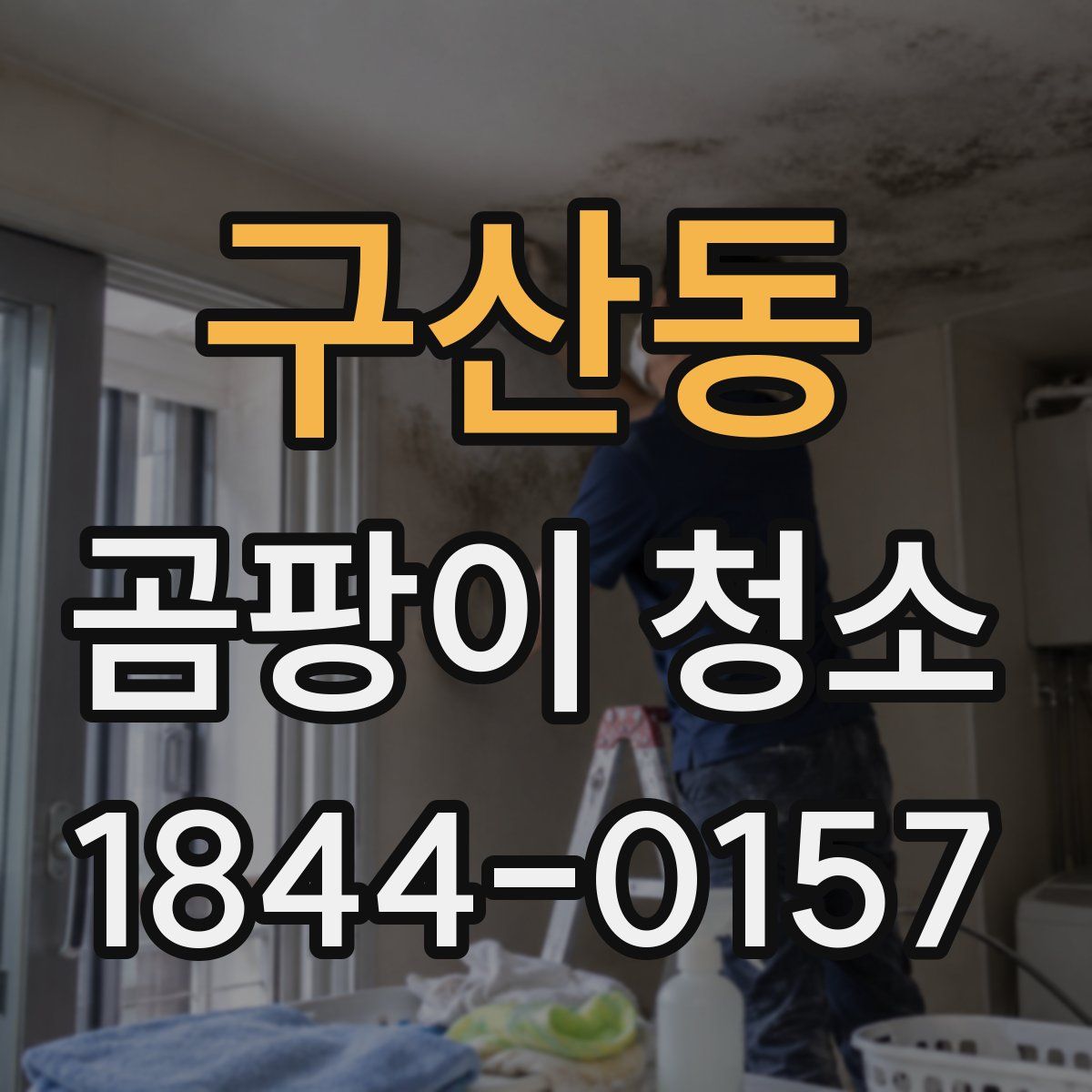 구산동 곰팡이 청소