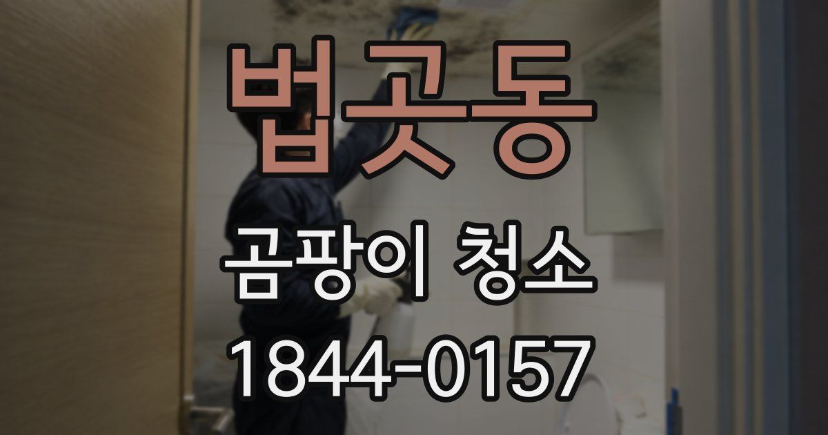 법곳동 곰팡이 청소
