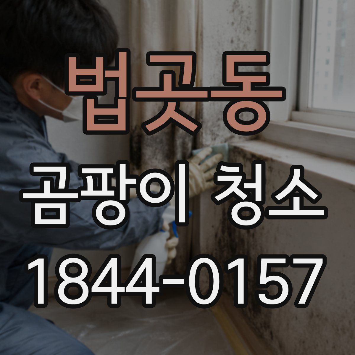 법곳동 곰팡이 청소