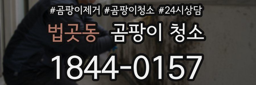 법곳동 곰팡이 청소