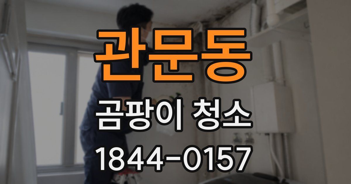 관문동 곰팡이 청소